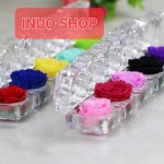 aja acrílica con rosa de color sólido